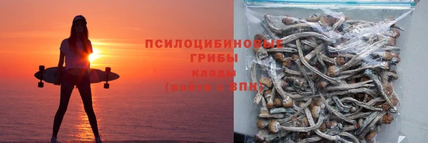 дурь Ветлуга