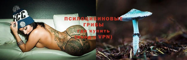 мяу мяу мука Абинск