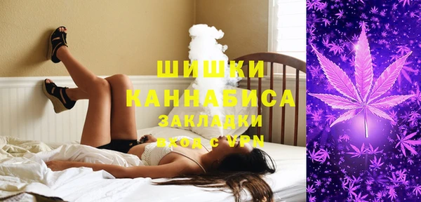 ECSTASY Видное