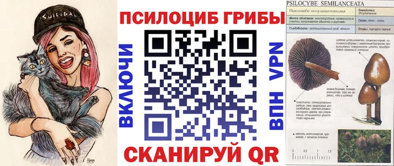 Псилоцибиновые грибы Cubensis  Касли 